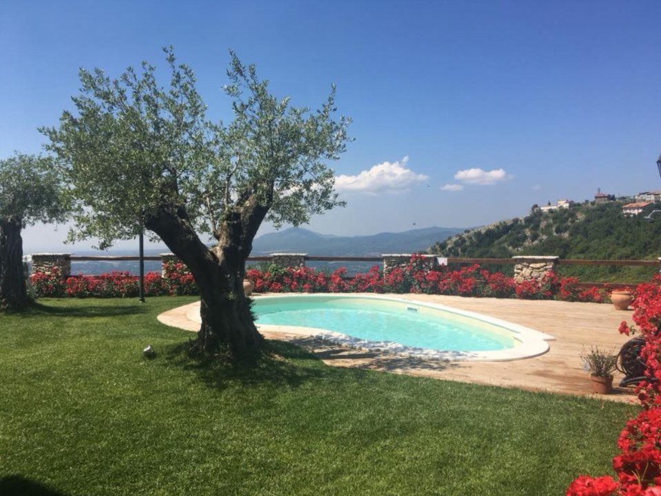 Ulivo in piscina