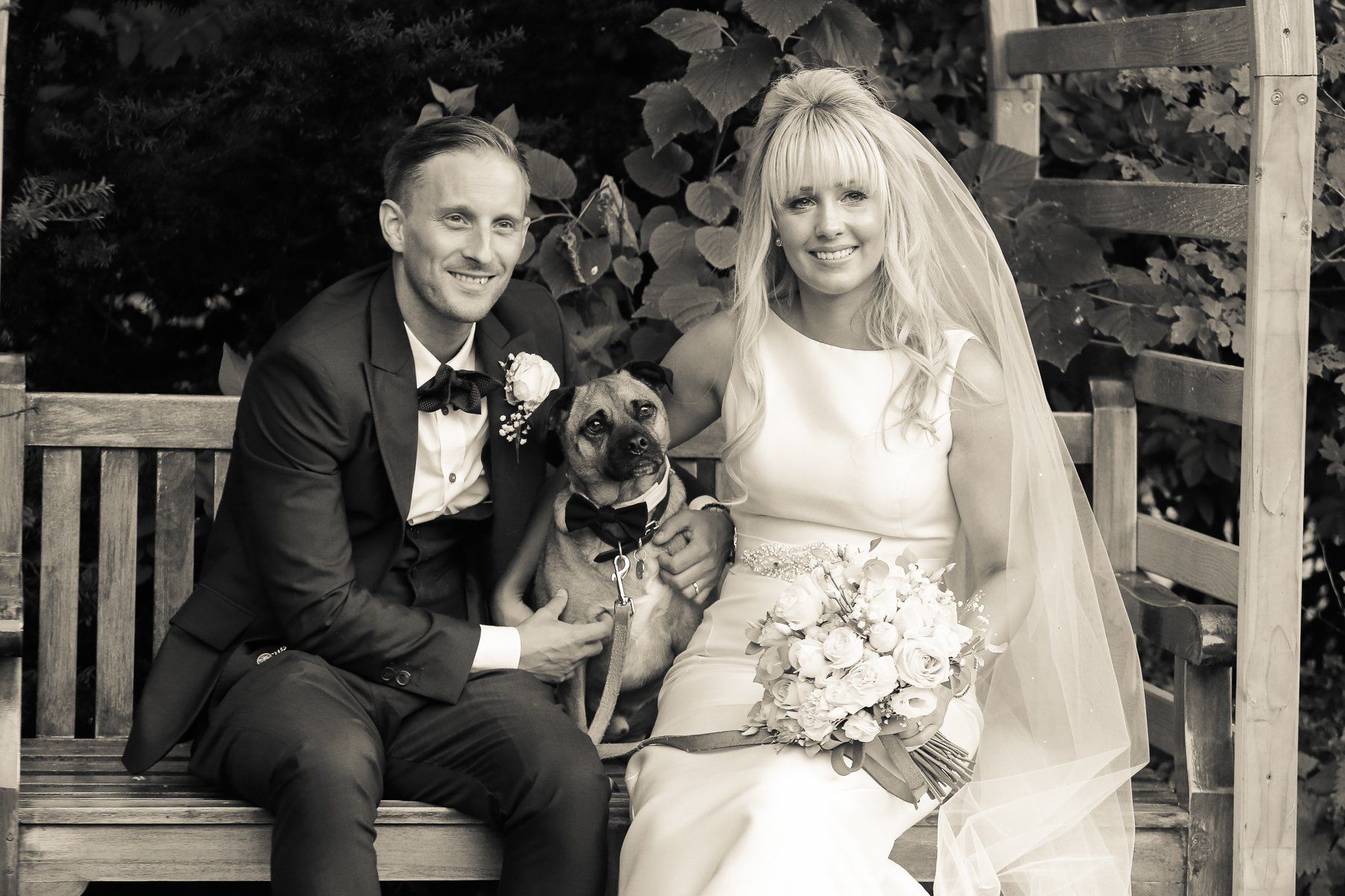 Bride, groom and dog photo