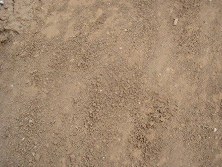 image-72252-02D22872.jpg?1410464811485
