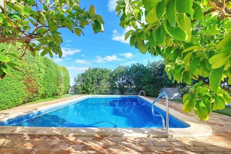 Swimming pool surrounded by greenery under a blue sky.