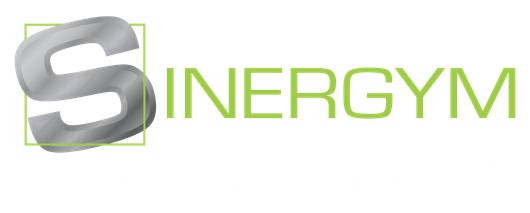 Sinergym