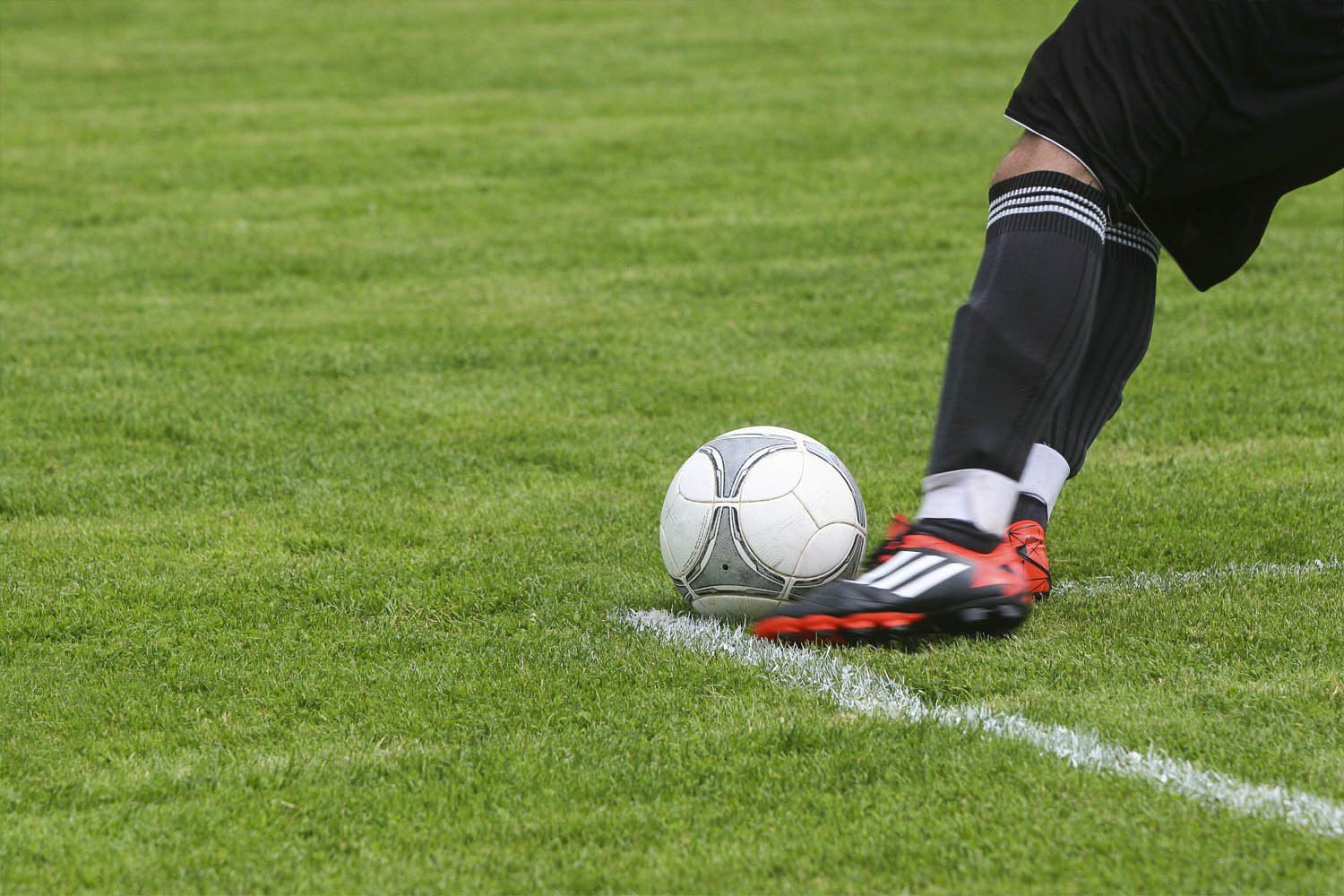 pasto natural para canchas