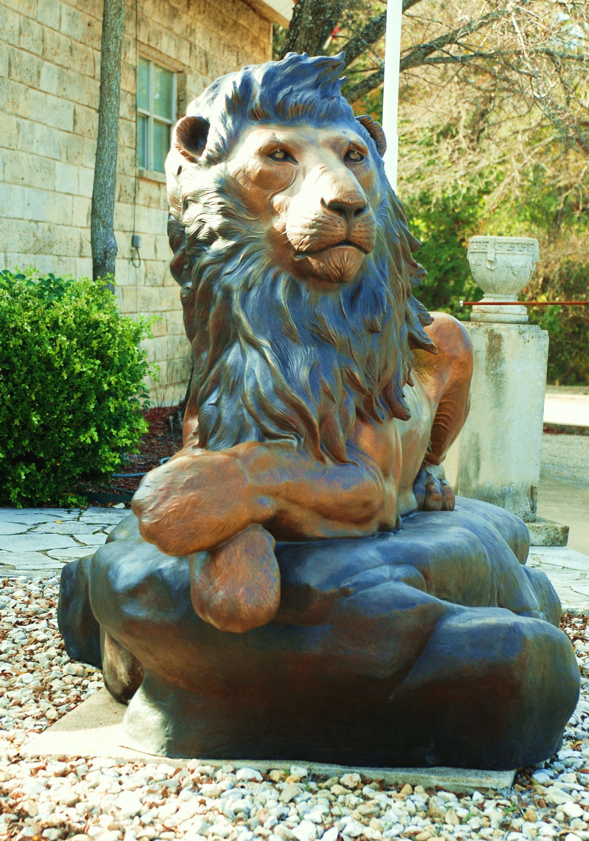 front cover of 