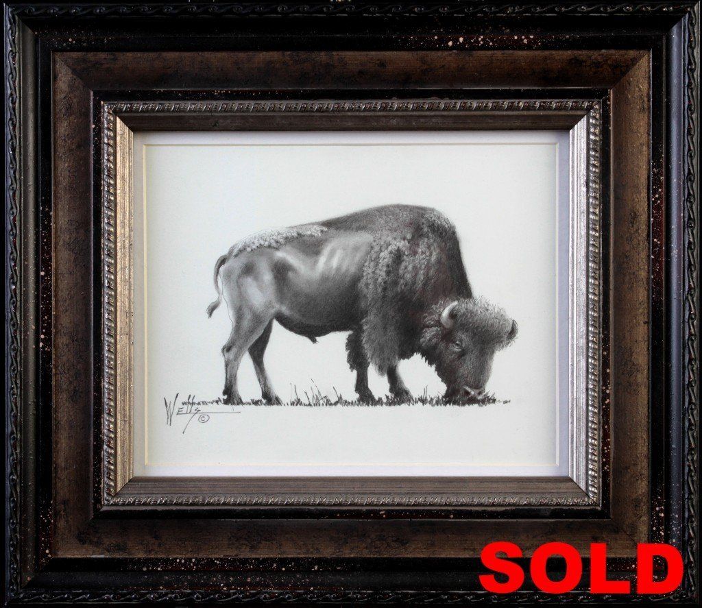 "Bison Study" Framed 15x13 Unframed 8x10