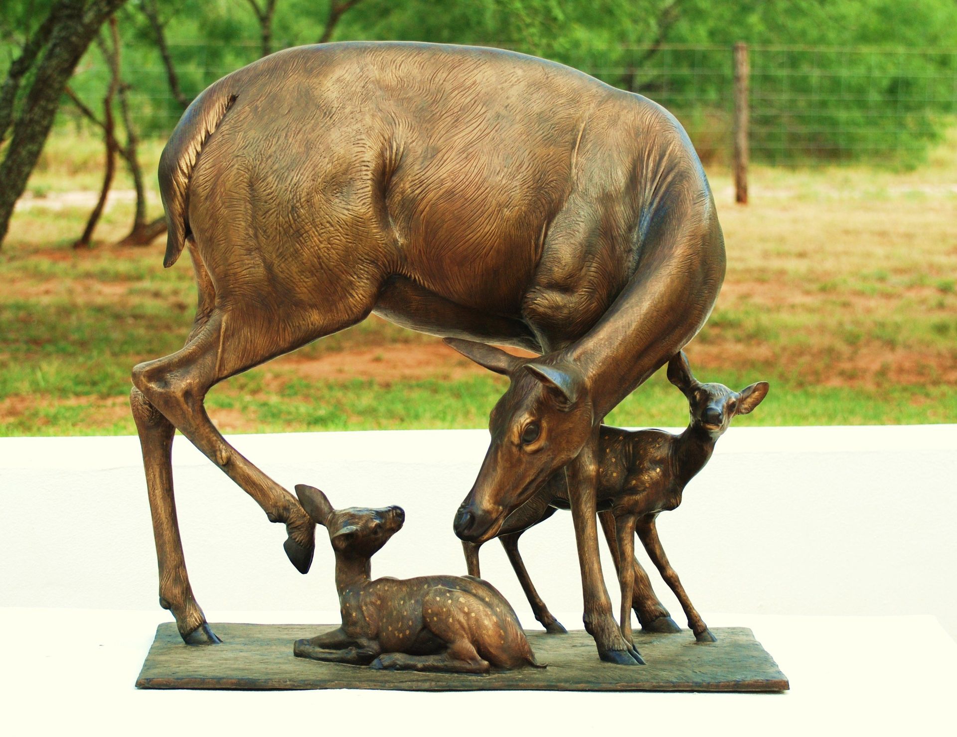 Twins  Height: 41"  Base: 24 x 38"