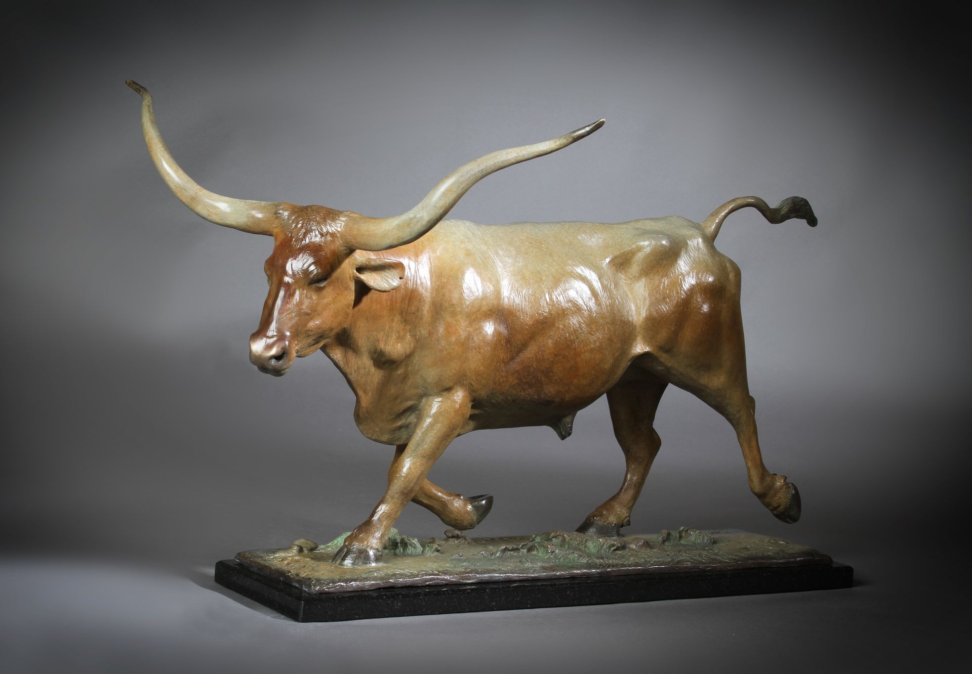 bull