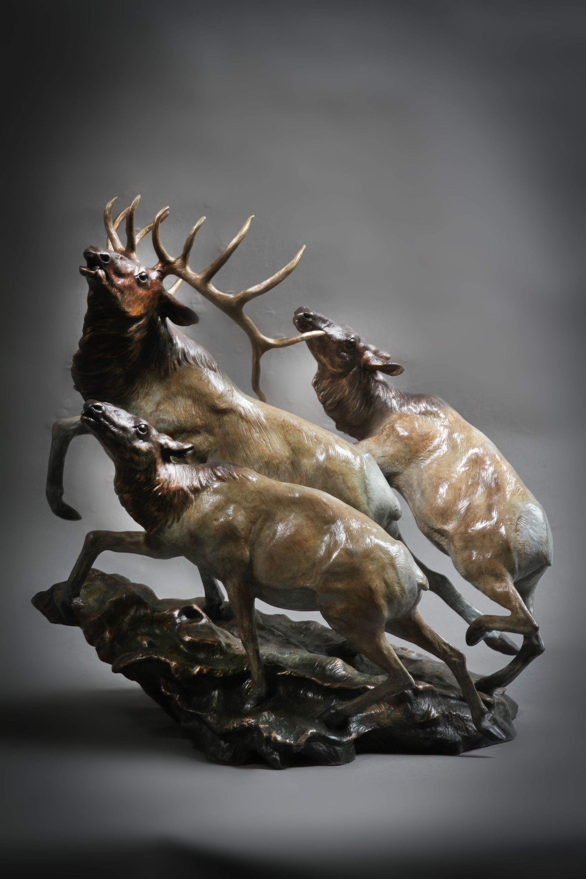 "Rocky Mountain Refuge" Sold Out