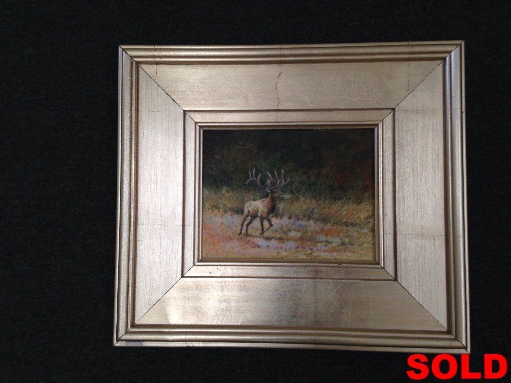 Elk & Moose Studies - SOLD