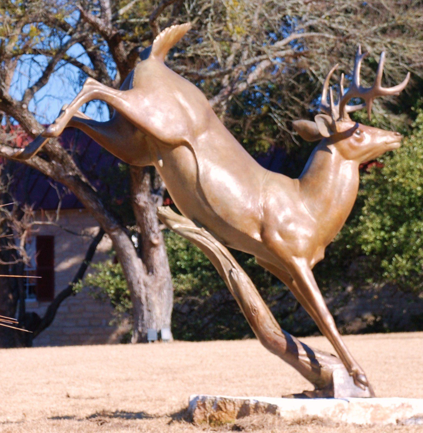 Bronze Sculpture