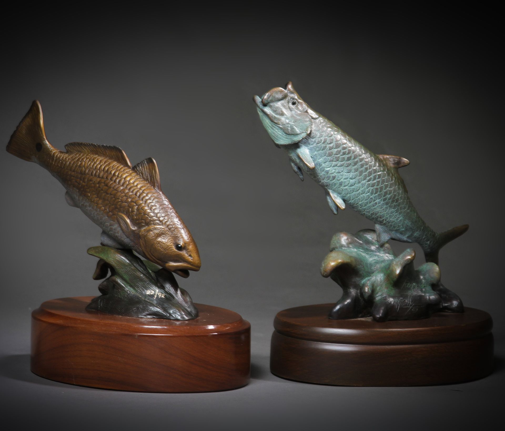 Red and Tarpon