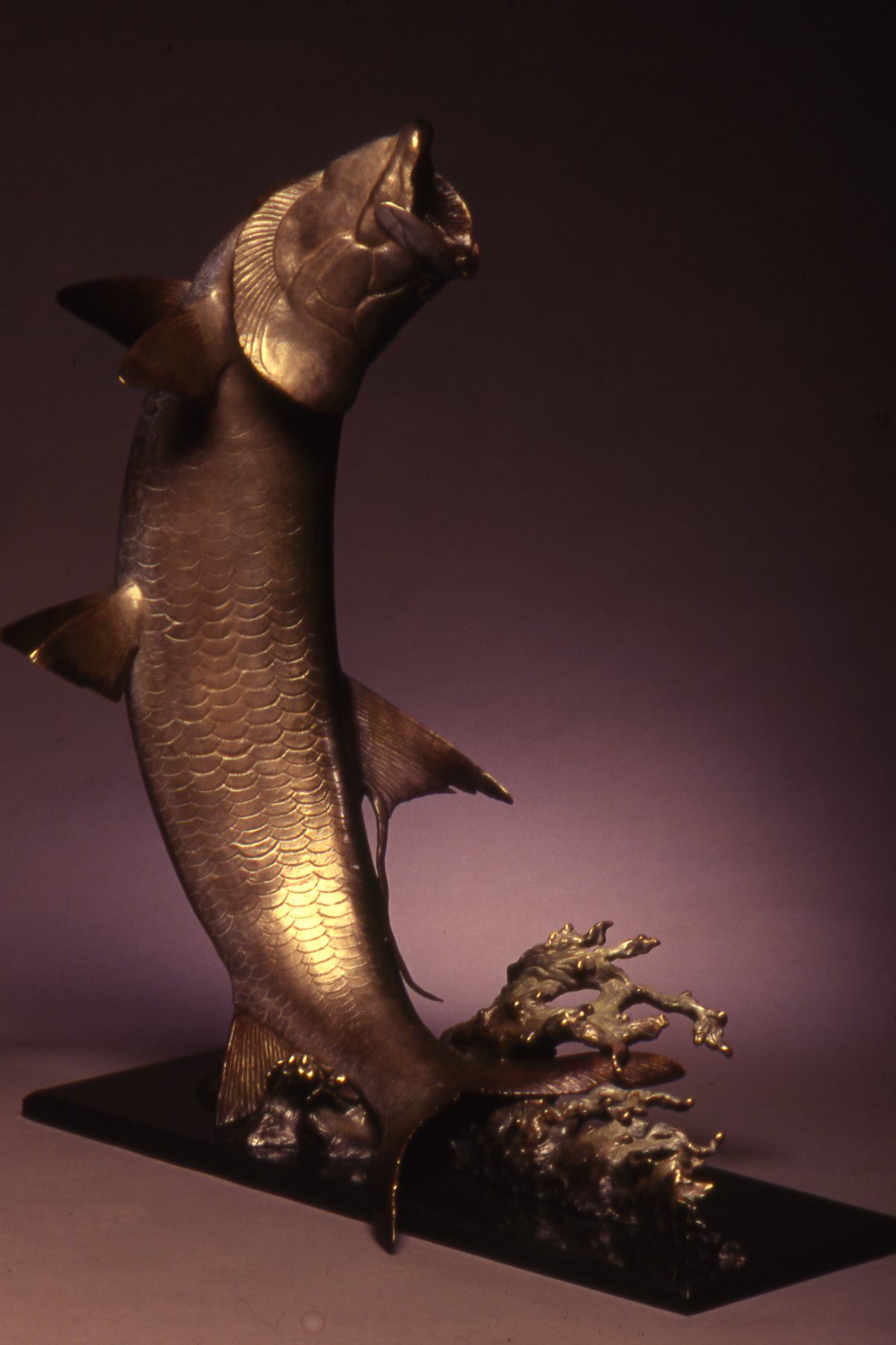 "Silver King" Height: 5 feet  Base:  36"