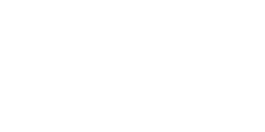 Prophix logo