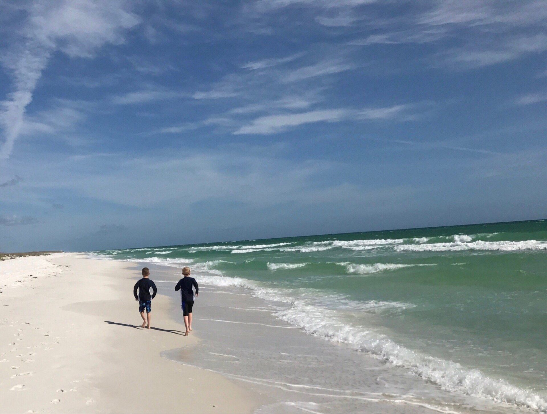 Osprey Charters Dolphin & Shell Island Tours