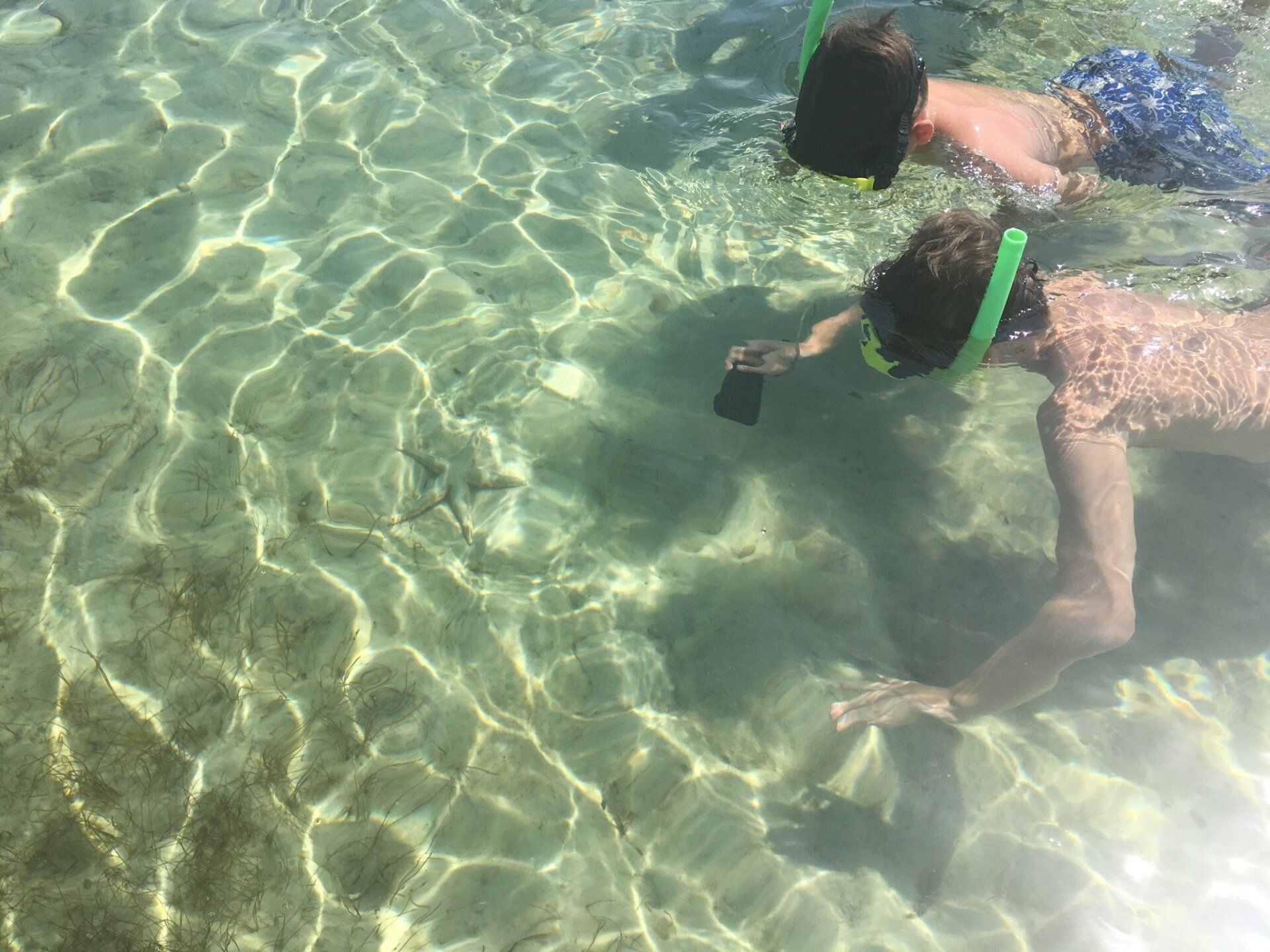 Shell Island Sightseeing