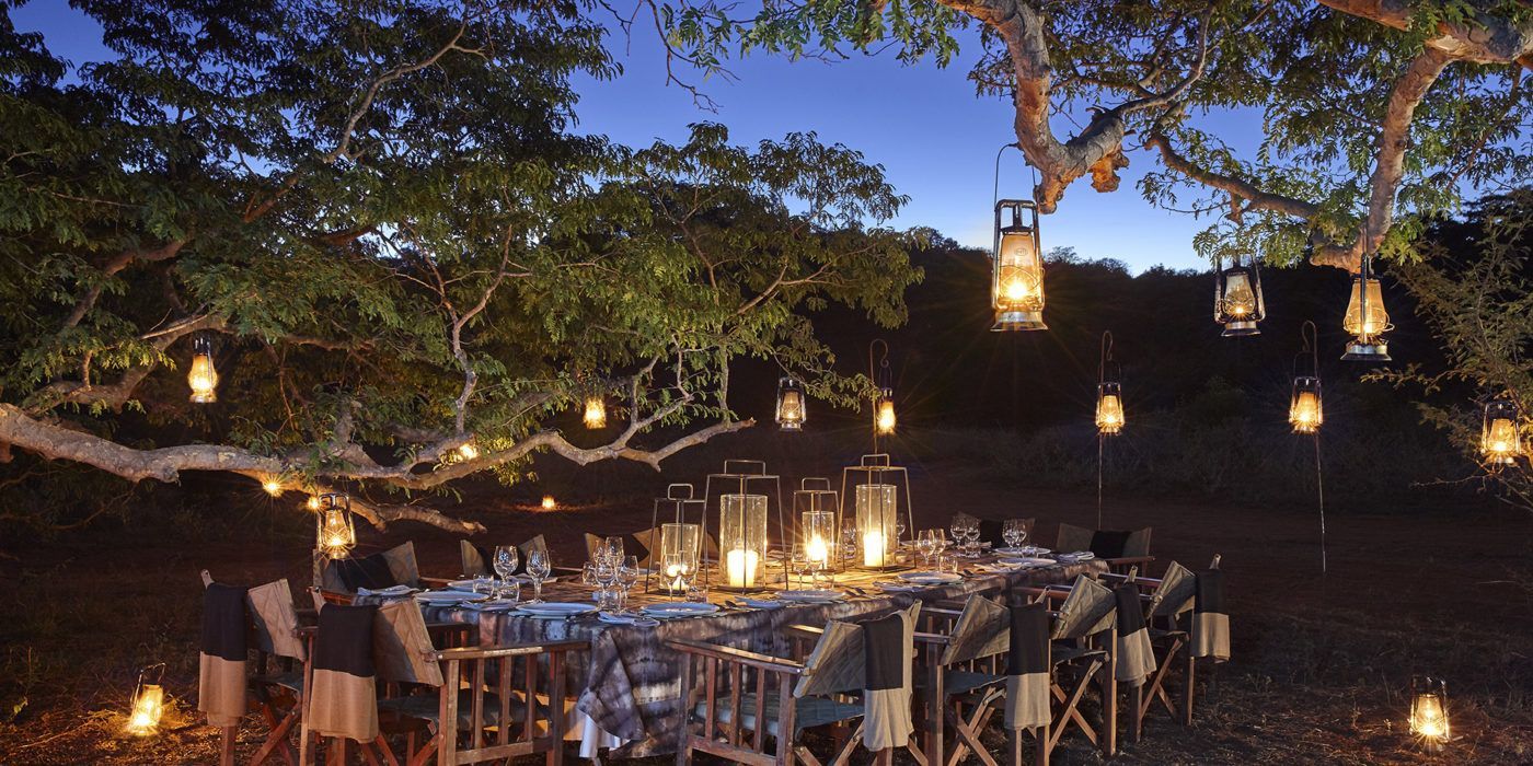 A group of people are sitting at a table under a tree with lanterns hanging from it.