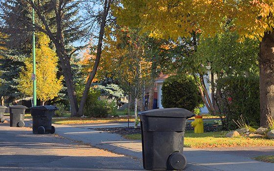 Waste Hauling — Roll-off Waste Bin in Hampden, Massachusetts Waste Hauling — Roll-off Waste Bin in Hampden, Massachusetts