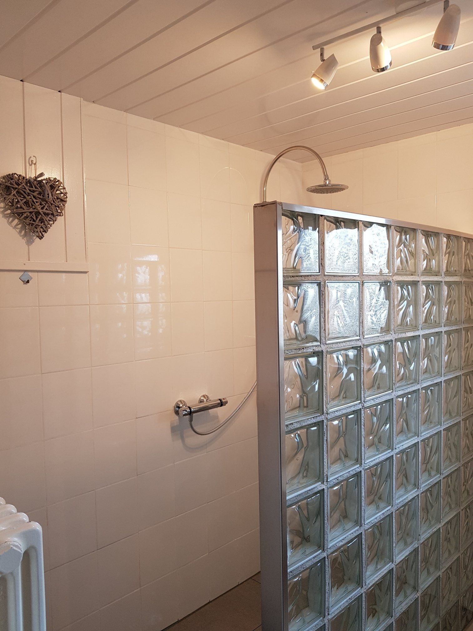 Badkamer met witte tegelwanden, douchewand van glazen bouwstenen, douchekop en plafondverlichting.
