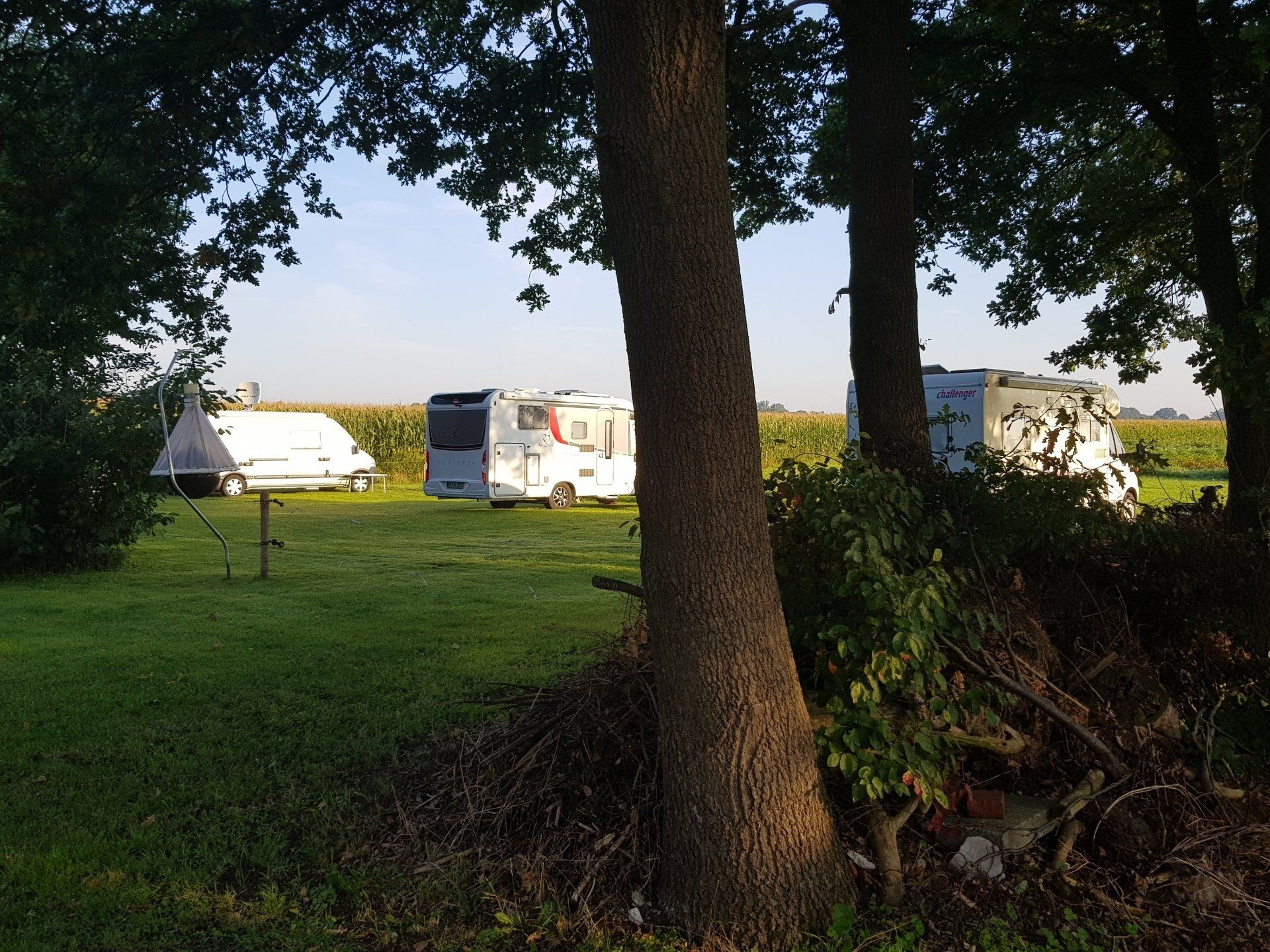 Campers en een witte tent op een grasveld, omgeven door bomen onder een heldere hemel.