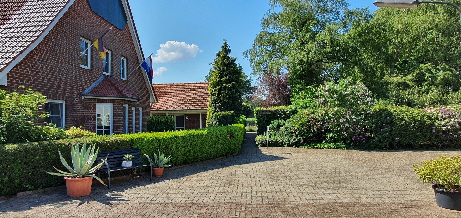 Zonnige binnenplaats met bakstenen huisjes, potplanten, hagen en een geplaveide oprit.