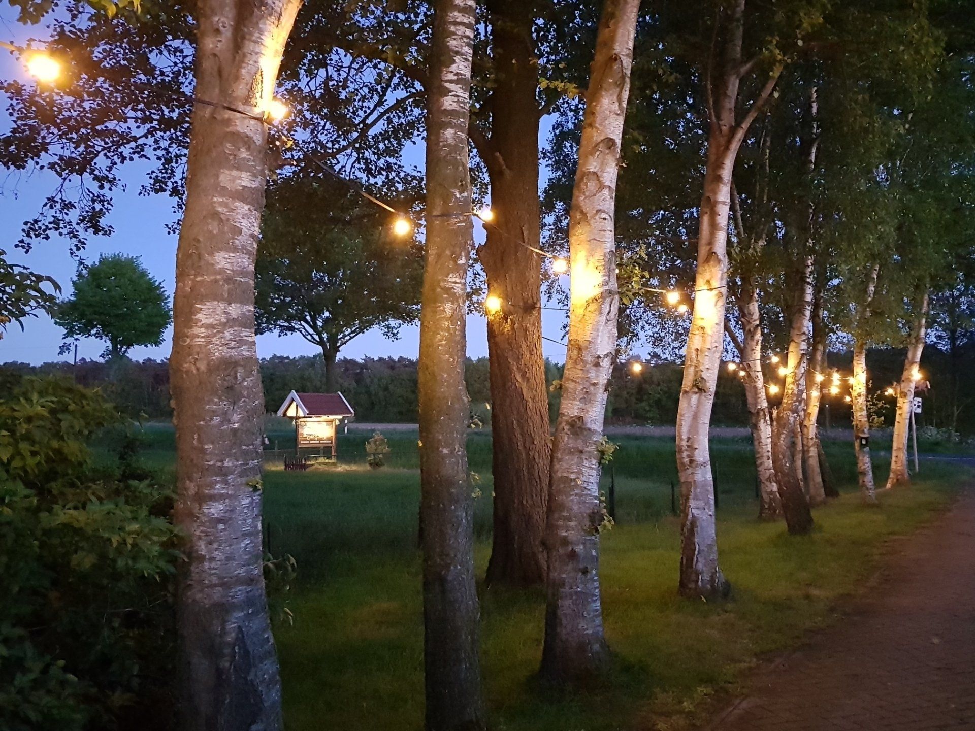 Een met bomen omzoomd pad in de schemering, met gloeiende straatlantaarns naast een grasrijk park.