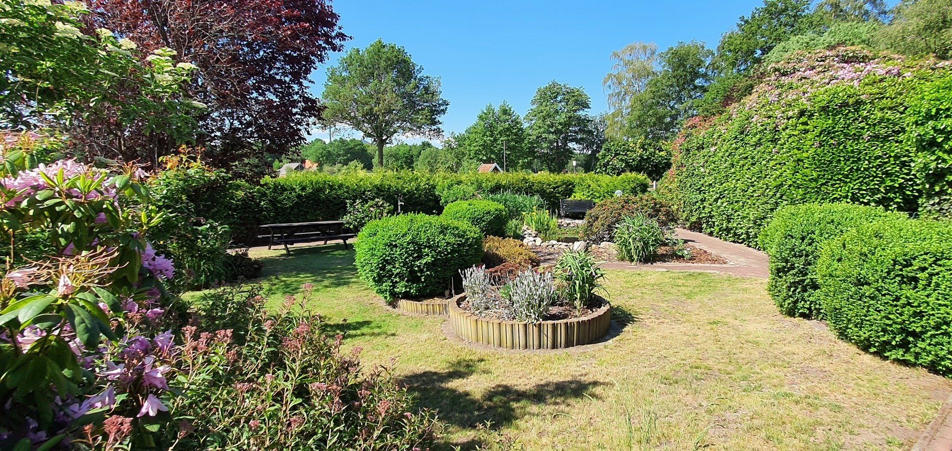 Zonnige tuin met bloeiende struiken, gesnoeide hagen en een kleine ronde plantenbak.