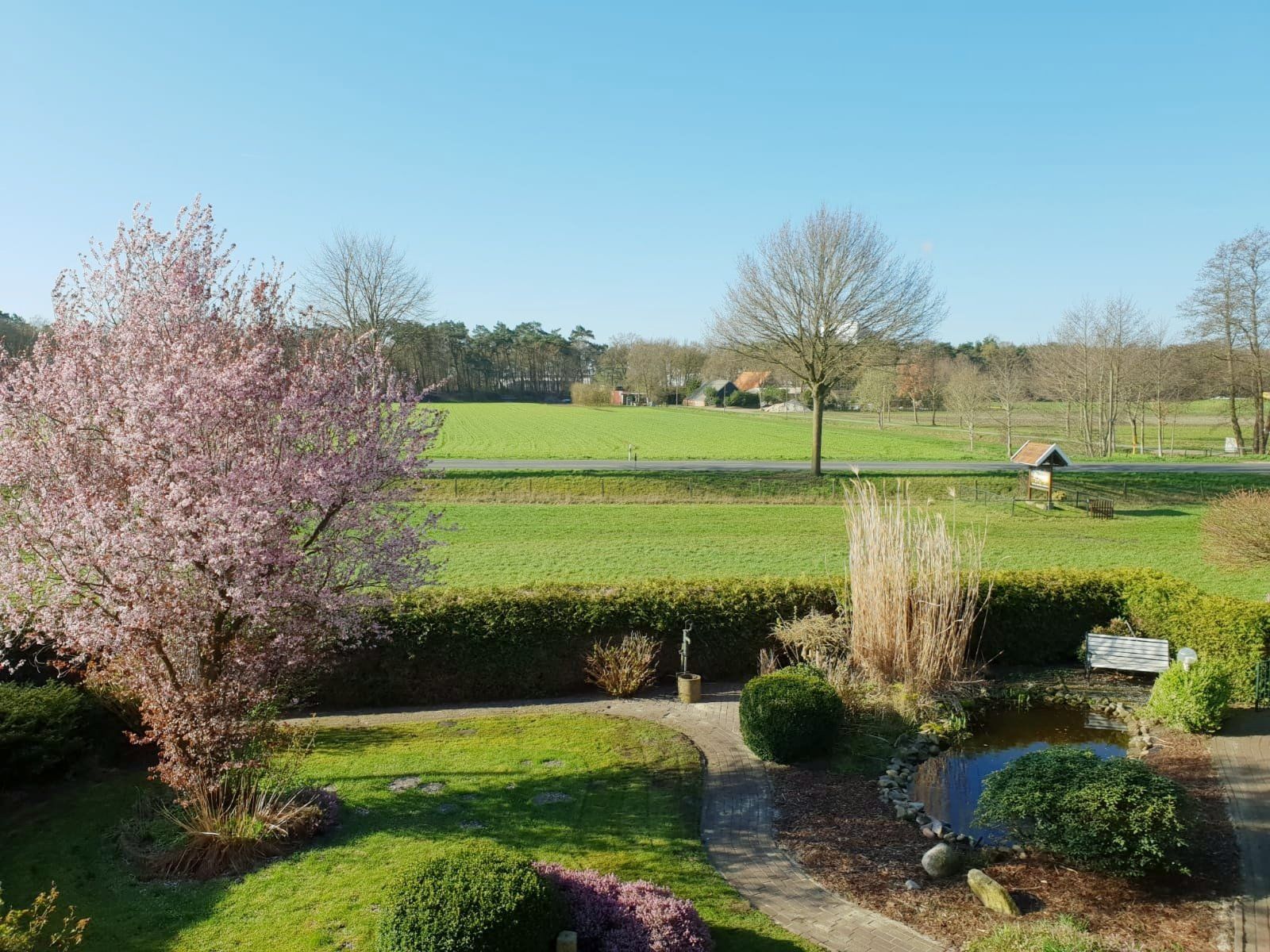Een lentetuin met roze bloesem, strak gesnoeide hagen, een vijver en open groene velden onder een heldere blauwe hemel.