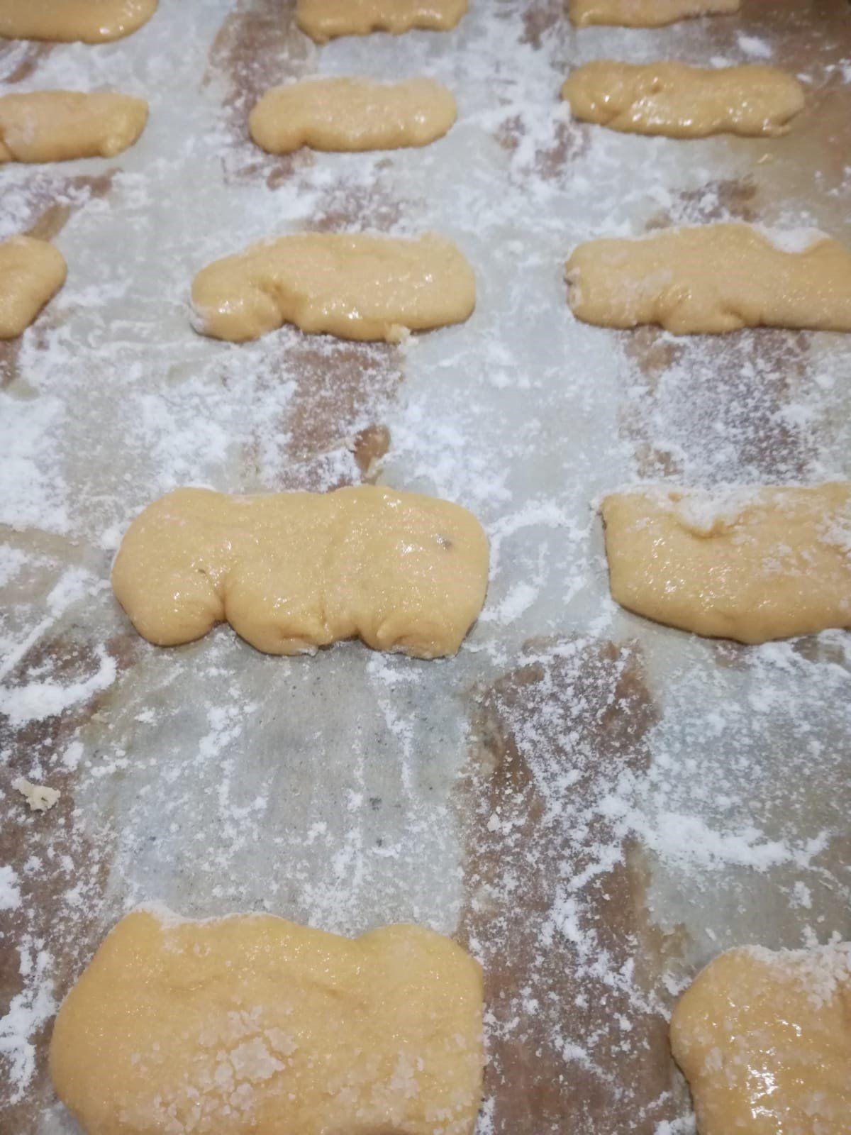 impasto per pane in lievitazione