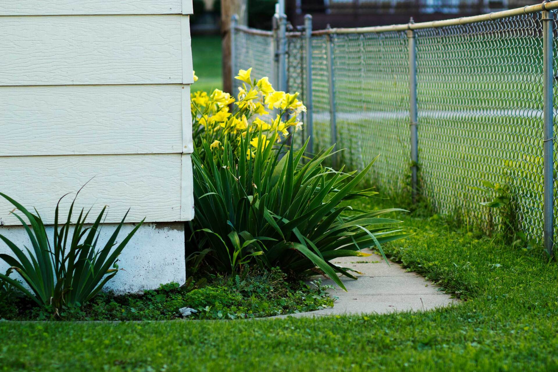 Brand New Fences — Stockton, CA  — Stockton Fence & Material