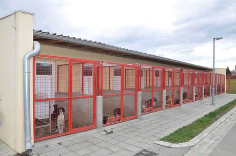 Brand New Dog Kennels — Stockton, CA — Stockton Fence & Material Brand New Dog Kennels — Stockton, CA — Stockton Fence & Material
