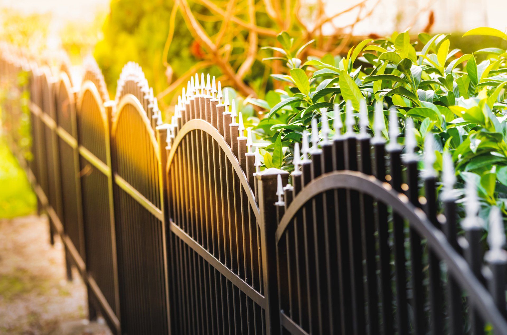 Iron Fences — Stockton, CA  — Stockton Fence & Material