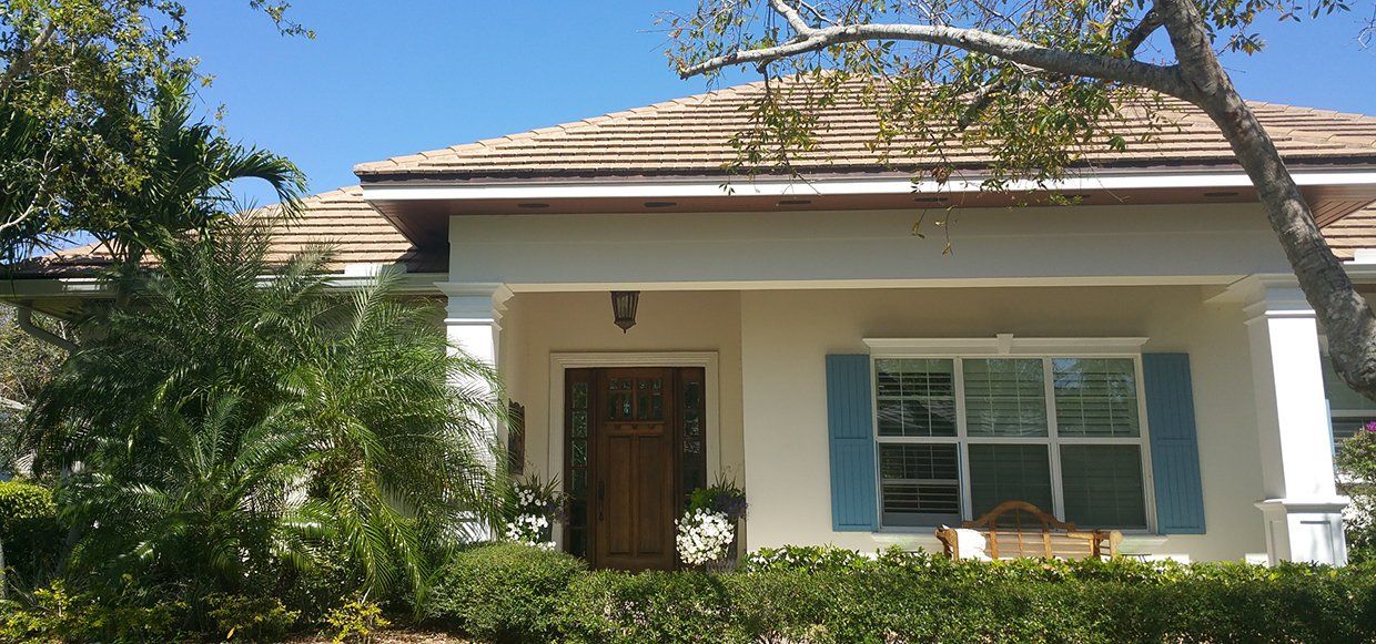 A white house with blue shutters is surrounded by trees and bushes.