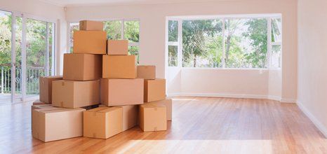 Expert removals services
