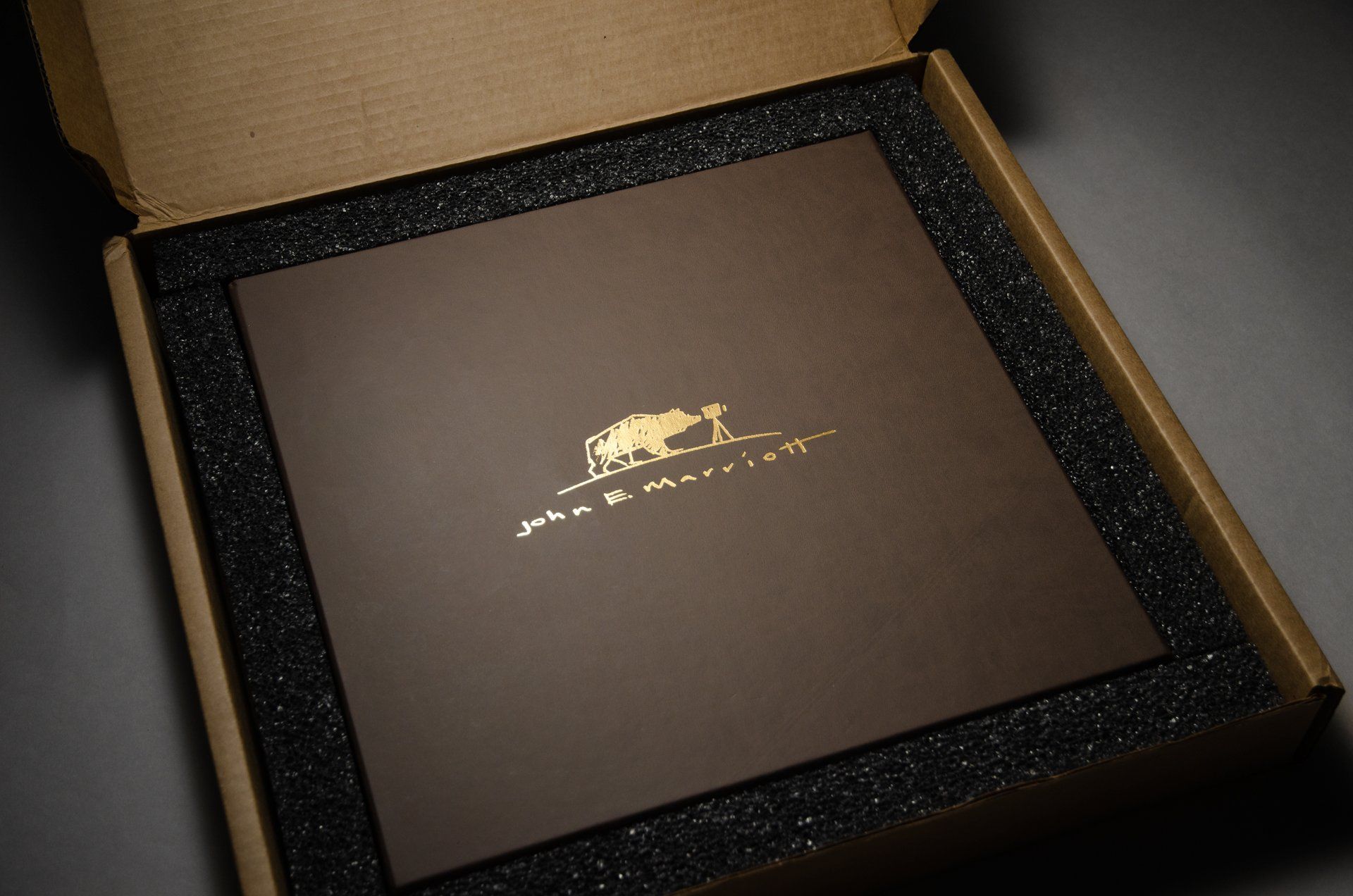 ANNUAL REPORT GRAPHIC DESIGNED FOR VERITAS INC PRODUCED BY IVY DESIGN INC