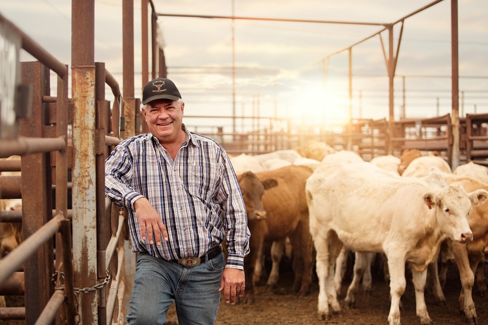 PROFESSIONAL PHOTOGRAPHY  FEATURING RURAL ALBERTA FARMER FOR VISION CREDIT UNION BY IVY DESIGN INC