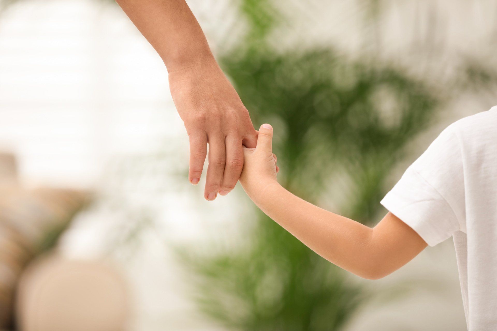 Family Attorney, Buffalo, NY