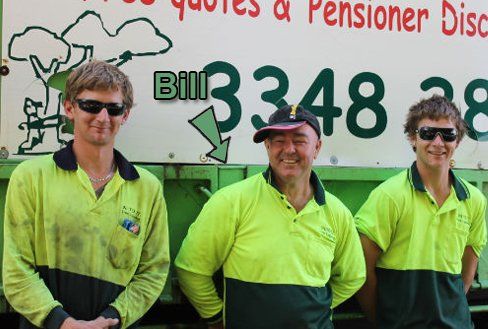 Contacting the tree felling company in Brisbane