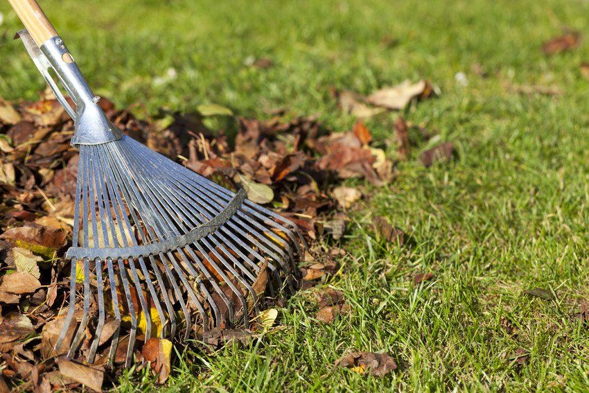 garden cleaning