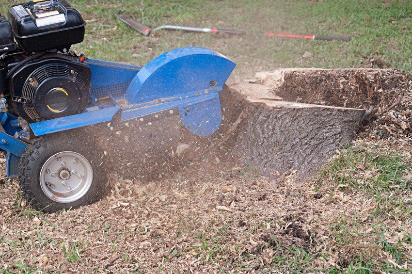 tree cutting service