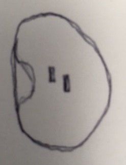 Original Bean