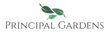 Logo Logo