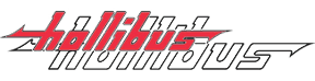 HOLLIBUS AUTOSERVIZI-LOGO HOLLIBUS AUTOSERVIZI-LOGO