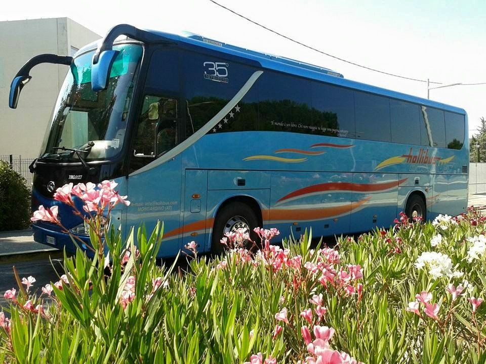 Light blue coach