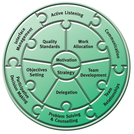 The Margerison-McCann Linking Skills Model