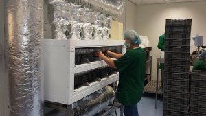 custom built cooling system