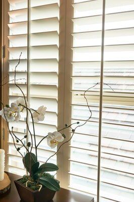 White shuttered window with an orchid arrangement on a wooden surface.