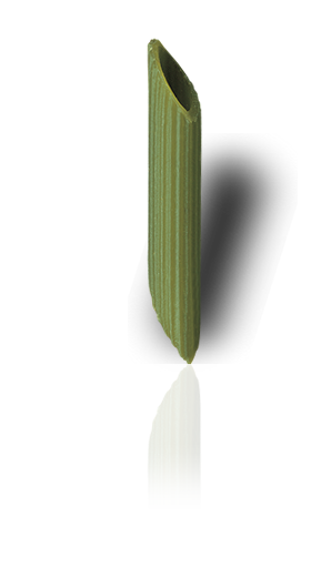 Penne Pasta