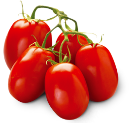 italian Tamatos
