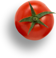 Tamato