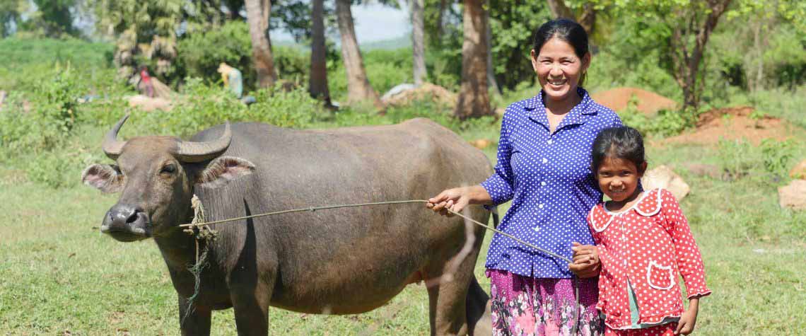Cambodia Cow Bank