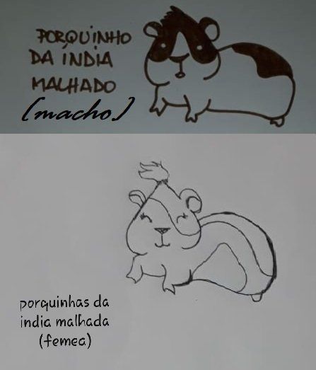 As criações de uma imaginação em papel é ilimitada.